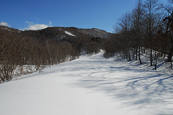 五輪山　ごりん高原　2013年2月10日