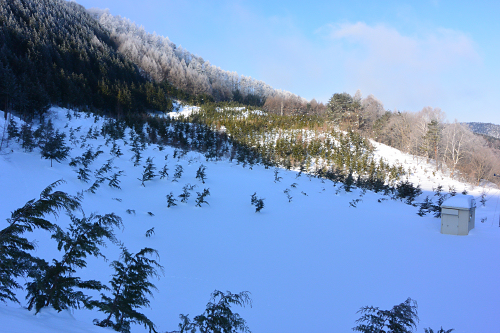 YAMAHA　SLランド　地蔵峠スキー場　跡地　2014年2月23日